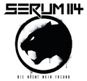 CD REZI GROOVESTREETPUNK: SERUM 114
