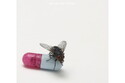 CD REZI ROCK: RED HOT CHILI PEPPERS, I’M WITH YOU